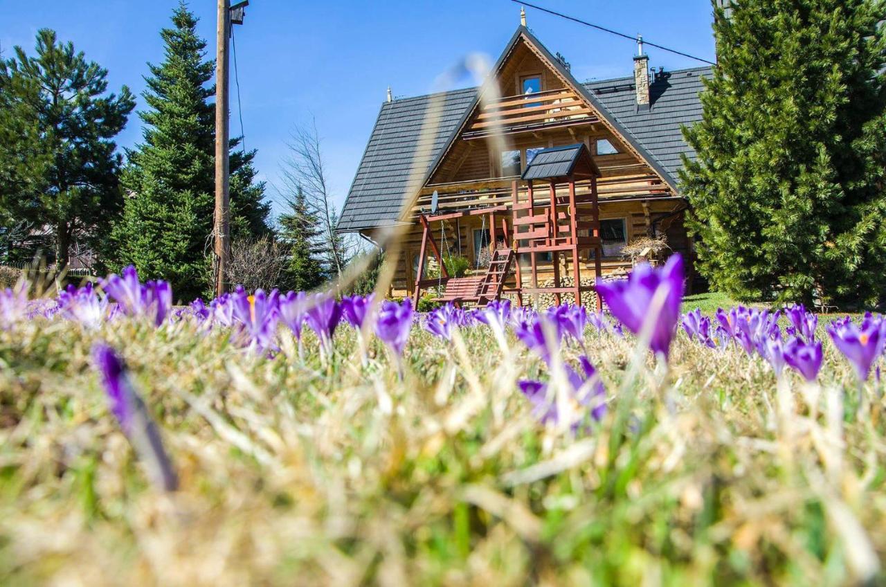 Willa Koisowka Zakopane Exterior photo