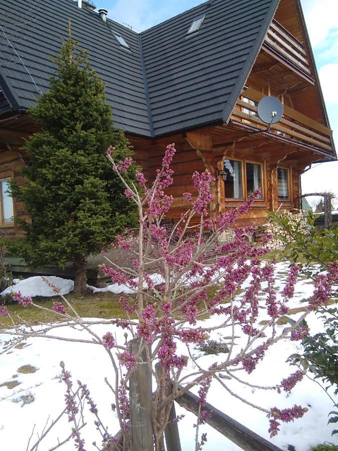 Willa Koisowka Zakopane Exterior photo
